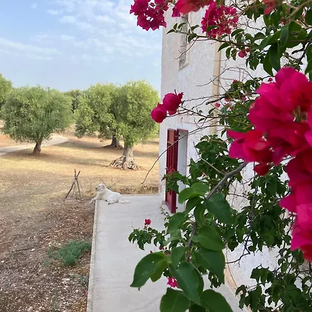 Masseria Purgatorio Fasano